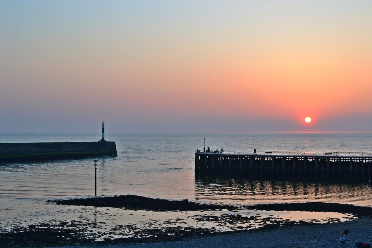 Cardigan Bay Self Catering Accommodation Aberystwyth Eksteriør billede