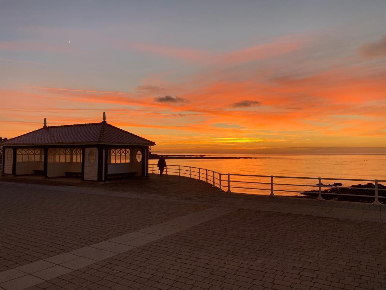 Cardigan Bay Self Catering Accommodation Aberystwyth Eksteriør billede