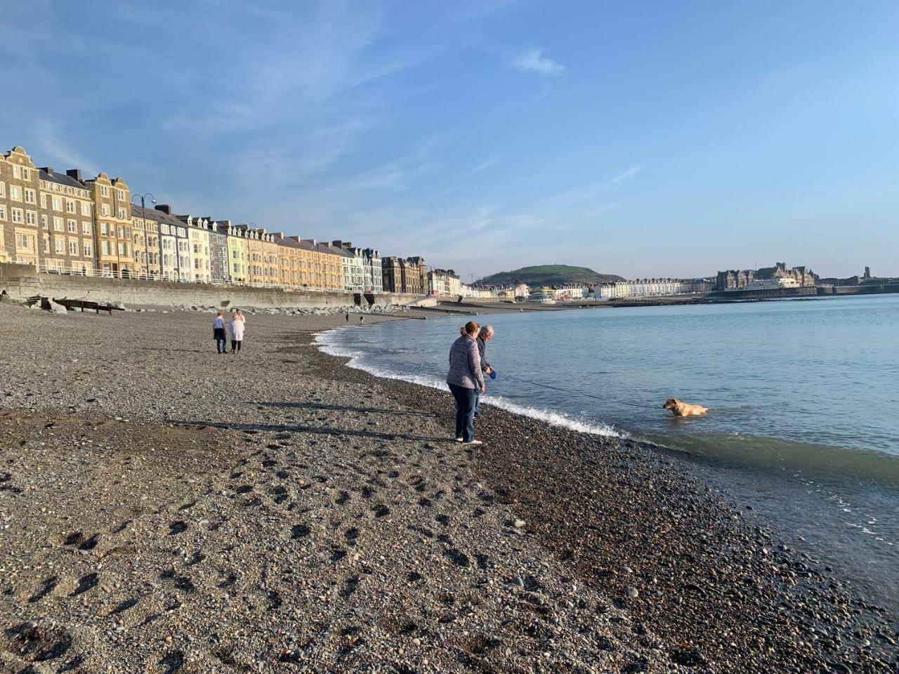 Cardigan Bay Self Catering Accommodation Aberystwyth Eksteriør billede