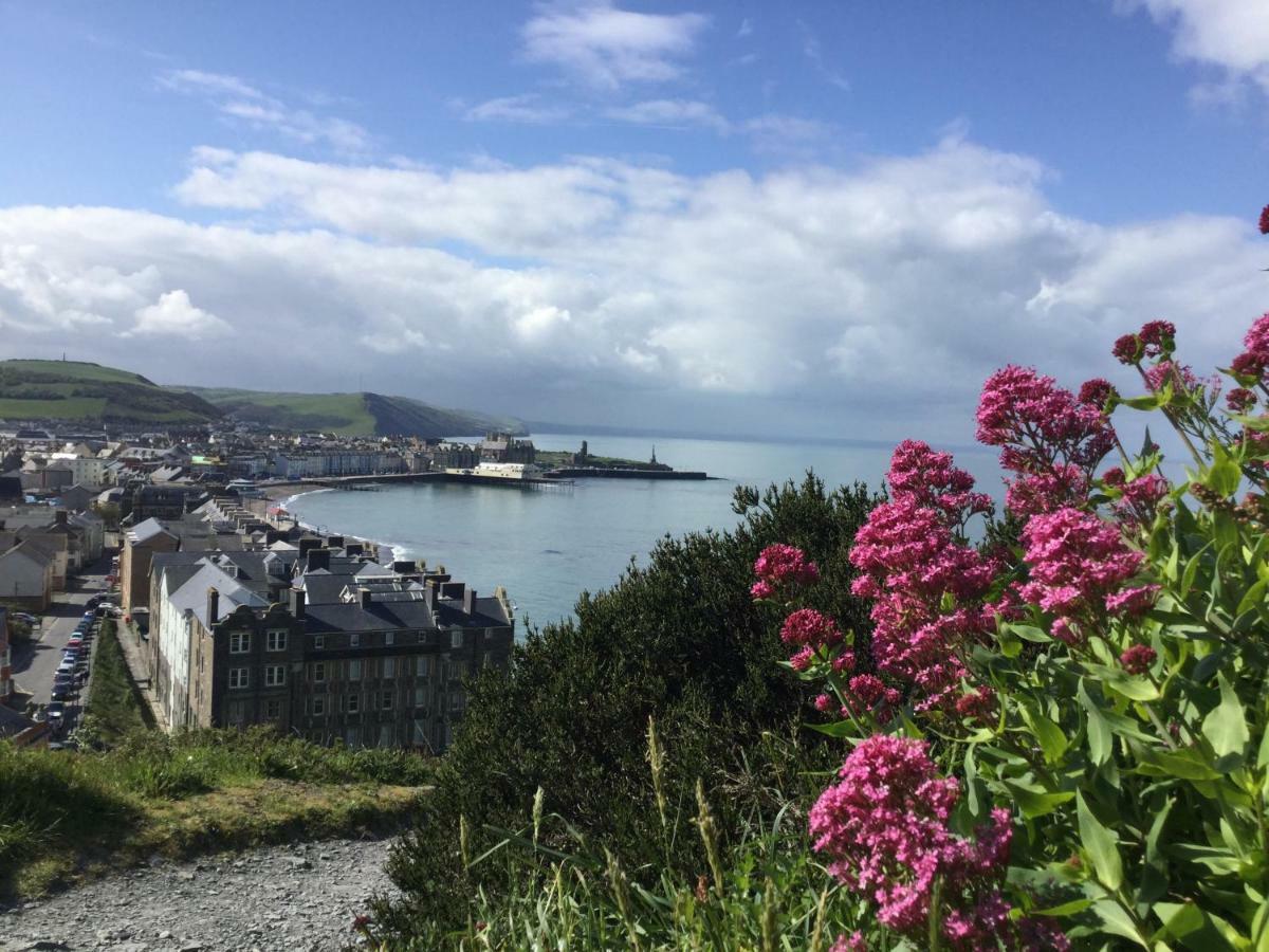 Cardigan Bay Self Catering Accommodation Aberystwyth Eksteriør billede